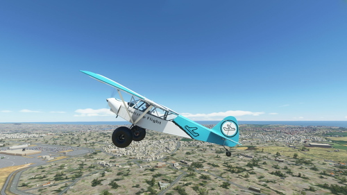  savage carbon nonstop flight livery 