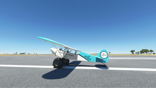  savage grravel nonstop flight livery 