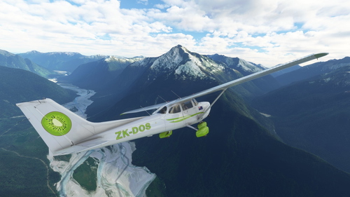 The Flying Kiwi