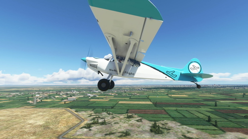  x cub nonstop flight livery 