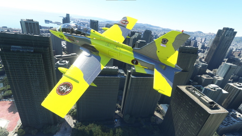 Aermacchi MB-339PAN SimGameIt Bare Metal Camo