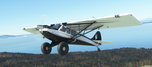 AIRPAC1 HUSKY A1C ANNIVERSARY EDITION Livery