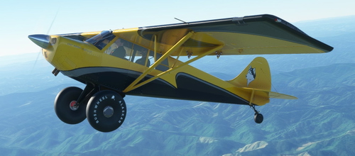 AIRPAC1 HUSKY A1C VECTOR 