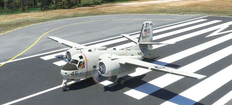 Project C1A port FSX for MS2020 need fix - Image 1