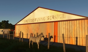 Cape Cod Airfield and 5 Lighthouse bundle thumbnail 13