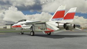 DC Designs F-14 B Grumman testbed thumbnail 4