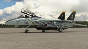 DC Designs F-14 B VF-103 Jolly Rogers thumbnail 2