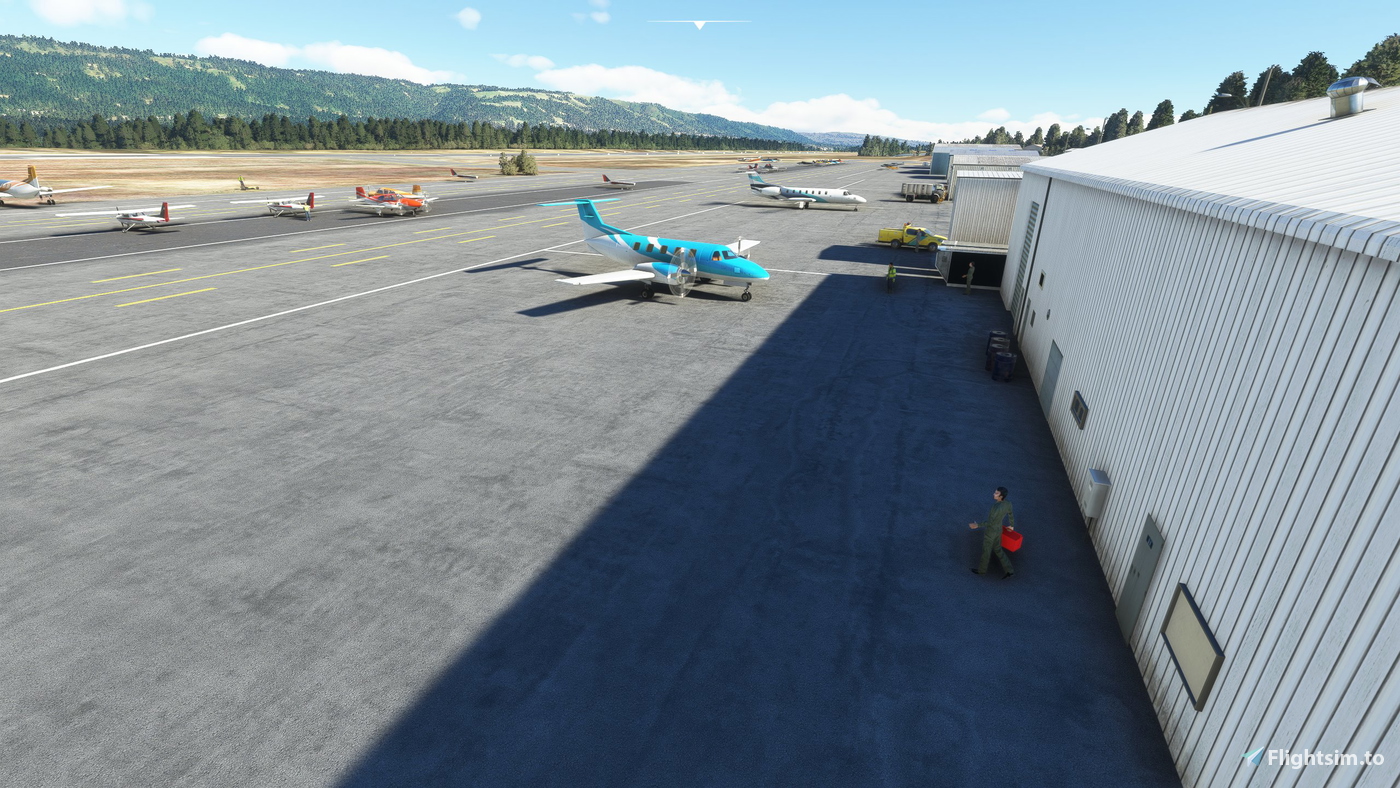 Homer (PAHO), Alaska, US for Microsoft Flight Simulator | MSFS