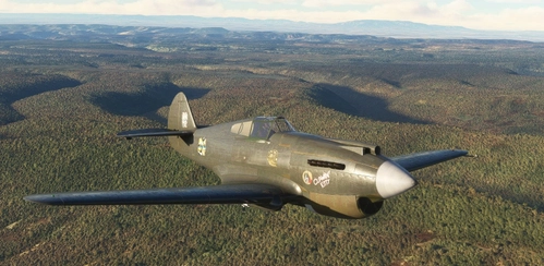 P-40B Tomahawk BigRadials "Clawin' Kitty" brown