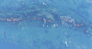 Papua New Guinea terrain fixes thumbnail 2