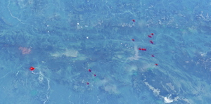 Papua New Guinea terrain fixes thumbnail 1
