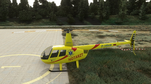 R44 NEH Kessin D-HRAN
