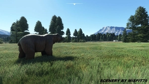 Rocky Mountains Tour thumbnail 6