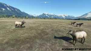 Rocky Mountains Tour thumbnail 7
