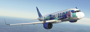 UNITED AIRLINES N14102 Her Art NewYork/NewJersey Livery 8K thumbnail 7