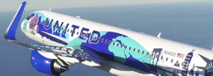 UNITED AIRLINES N14102 Her Art NewYork/NewJersey Livery 8K thumbnail 11