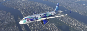 UNITED AIRLINES N14102 Her Art NewYork/NewJersey Livery 8K thumbnail 12