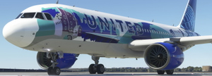 UNITED AIRLINES N14102 Her Art NewYork/NewJersey Livery 8K thumbnail 1
