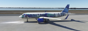 UNITED AIRLINES N14102 Her Art NewYork/NewJersey Livery 8K thumbnail 2