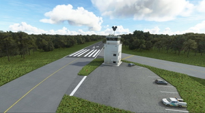 Walt Disney Runway thumbnail 5