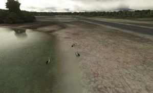 YRTI - Rottnest Island - WA thumbnail 4