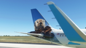 A32NX Frontier Airlines(Pike The Otter)[N235FR] 8K thumbnail 8