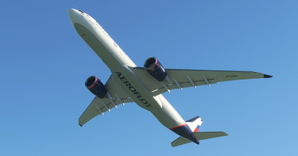 Aeroflot "2019 brand image" (based on A350) Headwind A330-900 thumbnail 13
