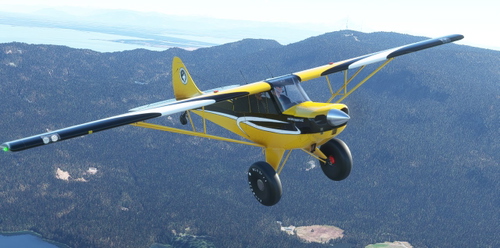 AIRPAC1 HUSKY A1C ANNIVERSARY Black/Yellow Edition