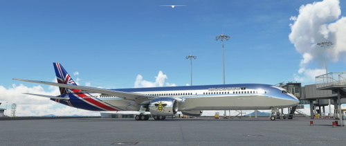 B787 MUCKA66'S CHROME LIVERY(REQUESTED LIVERY)