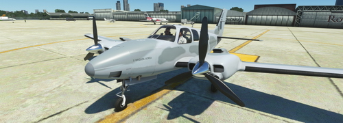 Beechcraft Baron G58 - Fuerza Aérea Argentina (II BA)