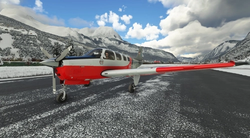 Beechcraft G36 Bonanza Savoie