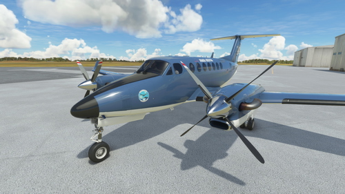 Beechcraft King Air 350i - Armada Argentina (EA1V)