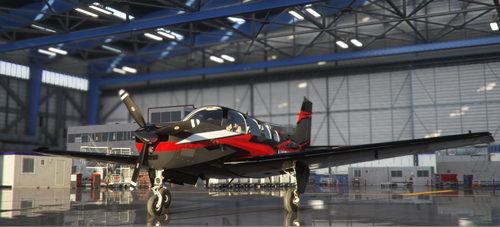 BONANZA G36 COSTUM LIVERY 8K