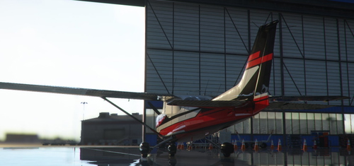 CESSNA 172 SKYHAWK  G1000 LIVERY /8K