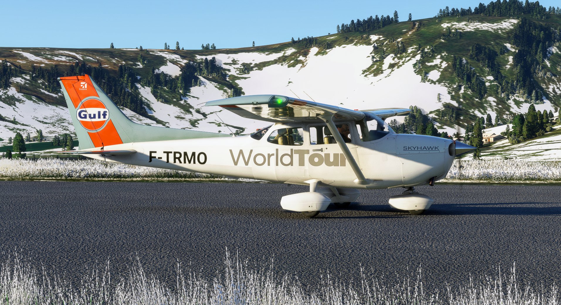 Cessna 172 SkyHawk - Gulf | WorldTour (G1000 & Classic) - Image 1