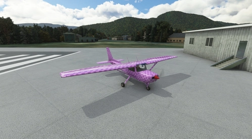 Cessna C152 Pink Troll