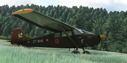 Cessna Carenado C170B Brown CF-TCK