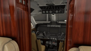 Custom views for almost every airplane - A2A, A380X, Fenix, PMDG, JF, SWS, MD82, HPG, Aerosoft thumbnail 20