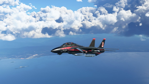 DC Designs F-14 B VF78 "Reaper"