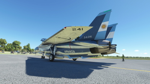 DC Designs F-14AR (F-14B) - Armada Argentina (EA32)