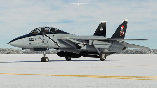 DC Designs F-14B VF103 "Santa Cat"