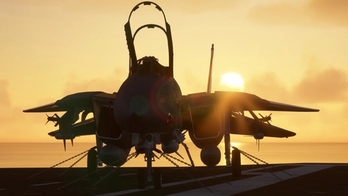 Improved Flightmodel for DC Designs F-14A/B Tomcat