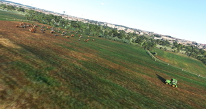 Leiria Portugal thumbnail 10