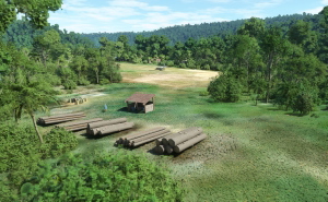 LNF Munbil airstrip thumbnail 8