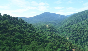 LNF Munbil airstrip thumbnail 2