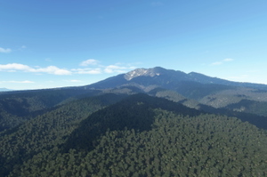 Papua New Guinea terrain fixes thumbnail 5