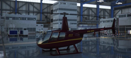 R44 PR-IBG