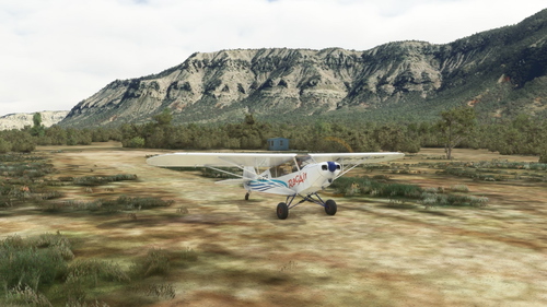 RacAir Livery for Savage Cub