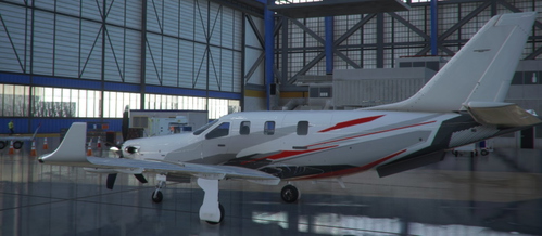 TBM 930 SIMPLE LIVERY