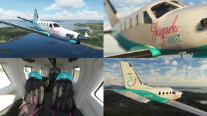 The Skypark Livery Pack - Turbo Prop thumbnail 8